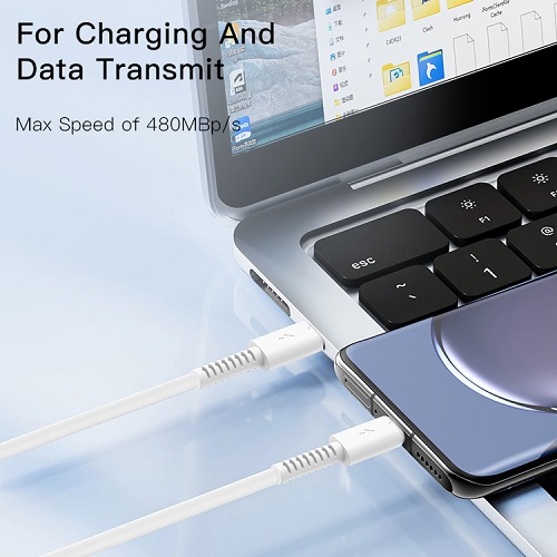 کابل دو سر تایپYesido  C مدل CA154